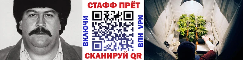Гашиш Дзержинск